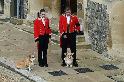 Muick y Sandy estuvieron en el paso del cortejo de la reina Isabel. Foto AFP