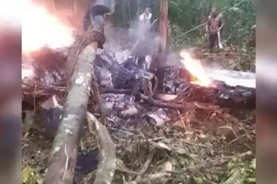 Colombia: tres funcionarios y el piloto muertos tras estrellarse una avioneta en la selva