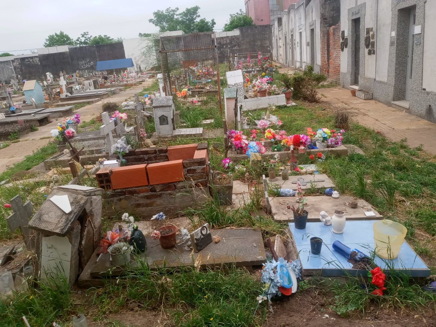 Reclamo en el cementerio: “Me robaron las plantitas y los jarrones”