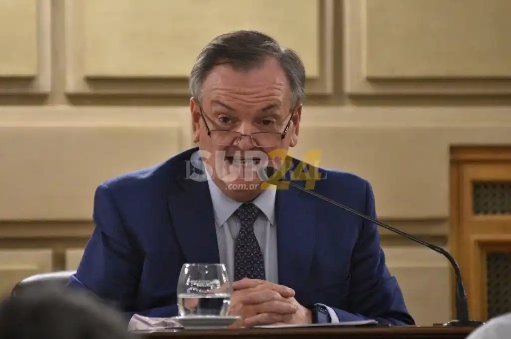 Michlig quiere un “gran frente” y a un radical en la Casa Gris