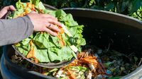 Hay que acabar con el desperdicio de alimentos