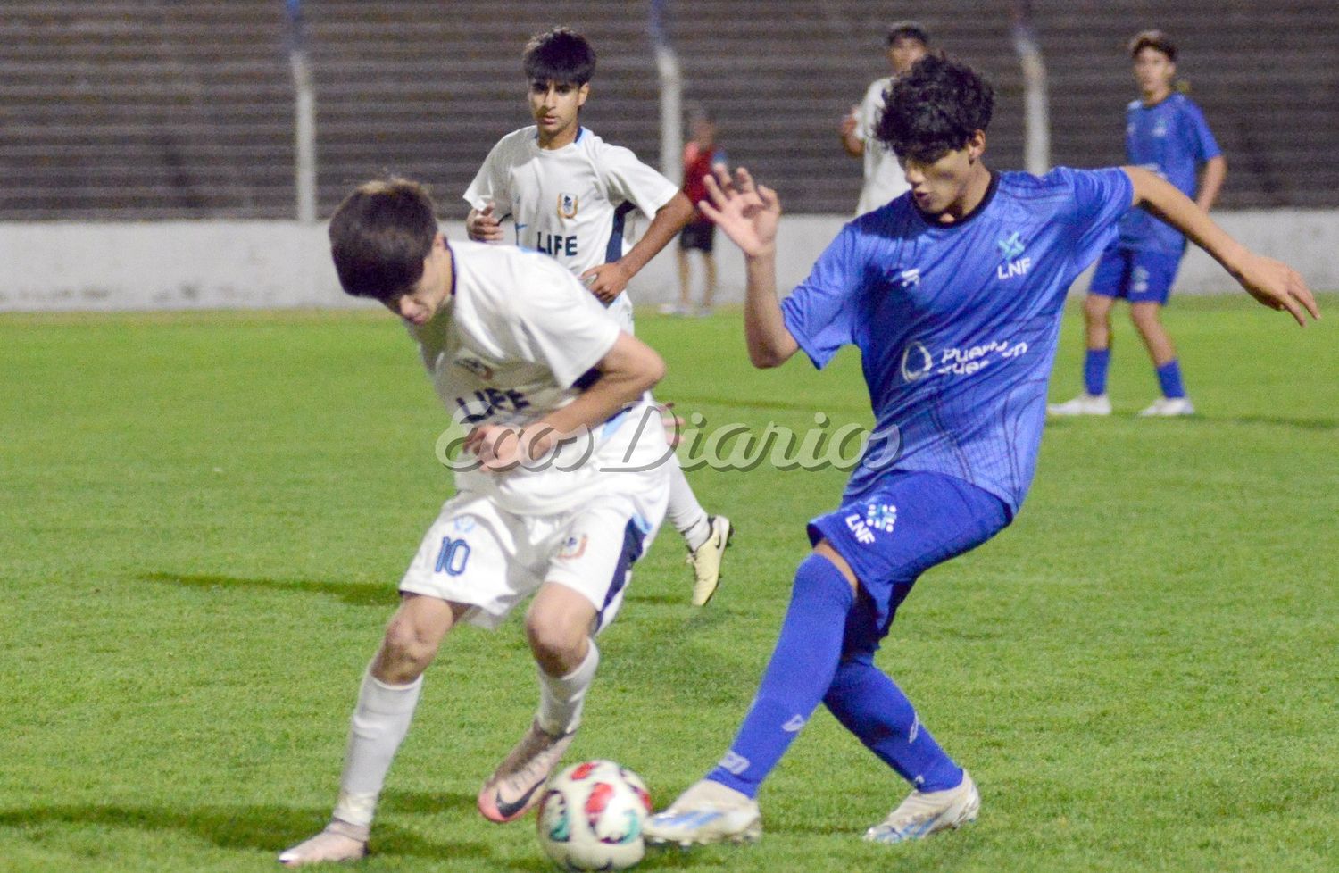 Sub 15 Necochea