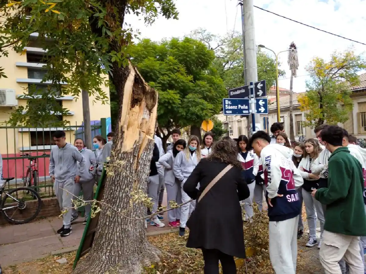 Municipio junto a escuelas realiza el censo de arbolado urbano