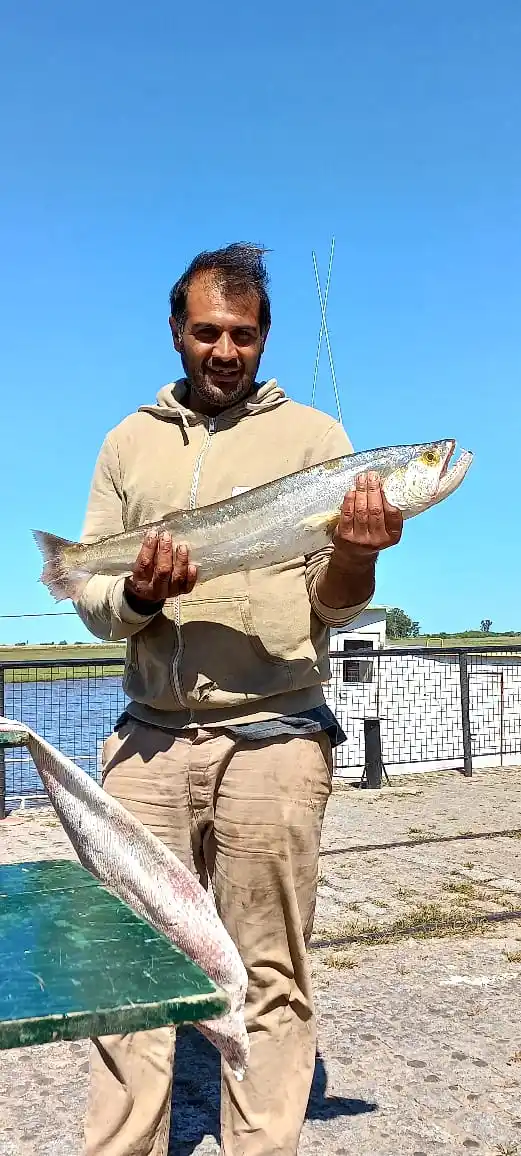 M. Pescador 2