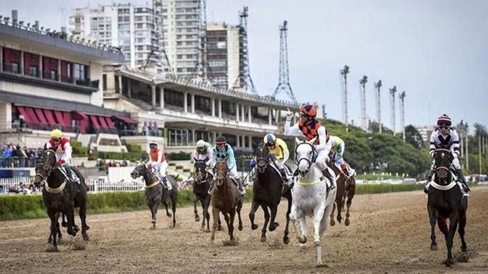 Viernes 28: Actividad Hipódromo de Palermo