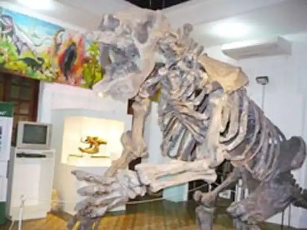 El lunes 17 se podrá reabrir el museo