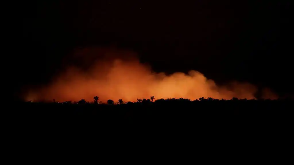 Arde Amazonas: impactantes imágenes del incendio forestal