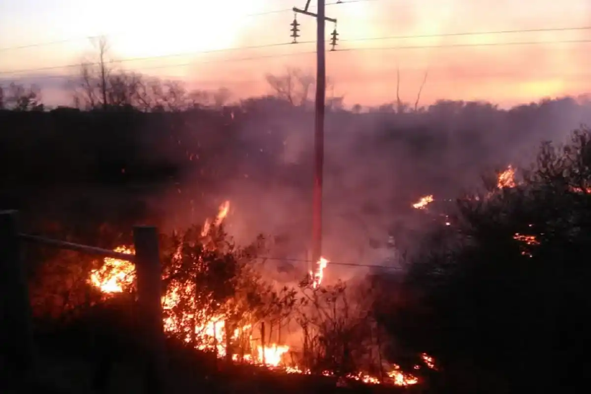 Aumento preocupante de los incendios en Islas y Gualeguay