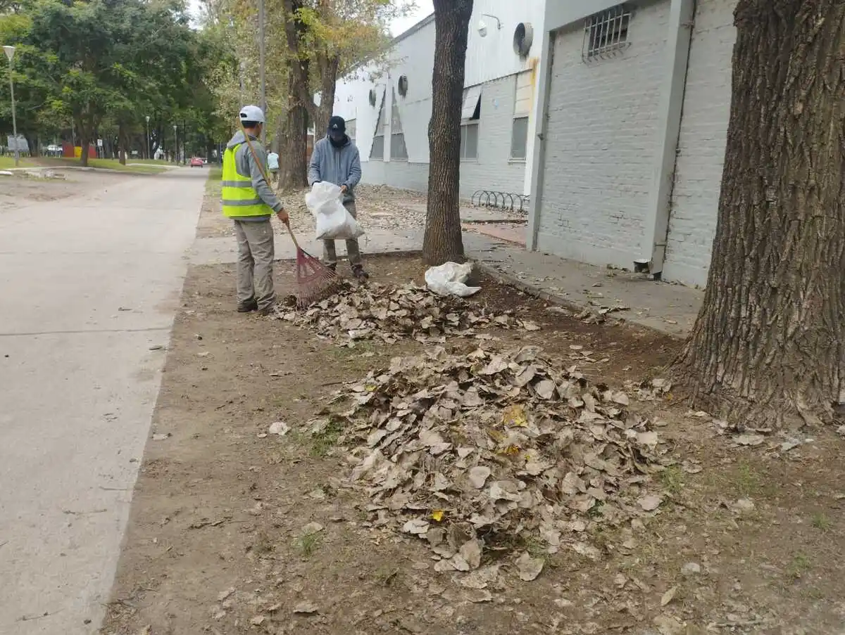 Integrantes de cooperativas  intensifican los operativos de limpieza urbana.