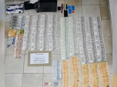 Chañar Ladeado: tras un robo millonario, descubren un invernadero de marihuana