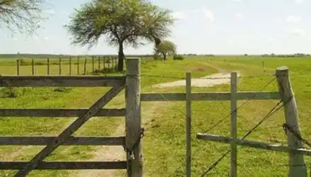Diputados aprobó la creación de Compañía Entrerriana de Tierras