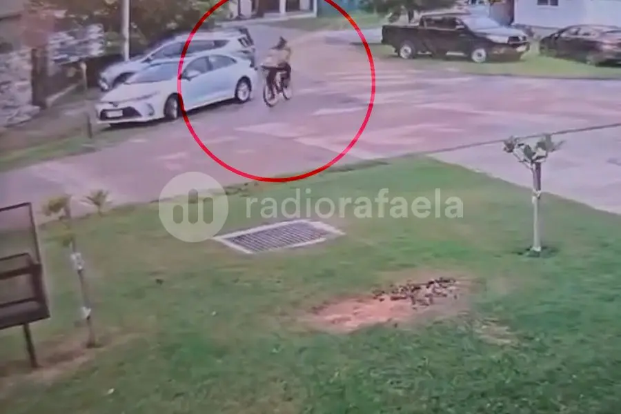 VIDEO | Robaron dos inodoros y un bidet y escaparon en bicicleta: tuvieron que poner seguridad privada