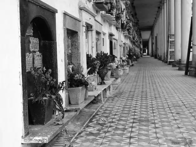 “La fiesta de los muertos”