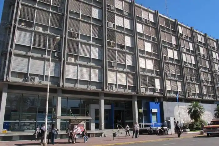 El CGE salió a pedir disculpas por la publicación del cuento �SEl Gorila gorilón⬝