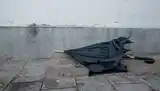 Cuando un amigo…