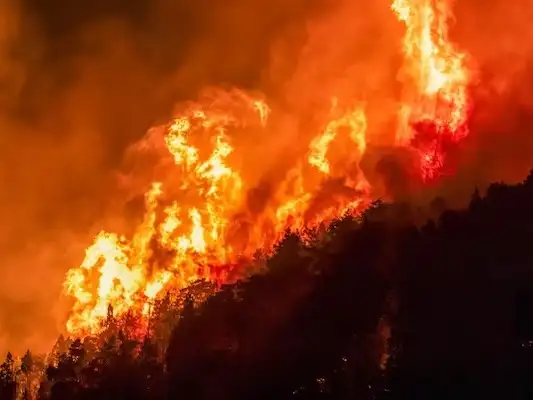 El clima vuelve a complicar el combate del fuego en Chubut y ya se quemaron 45 mil hectáreas