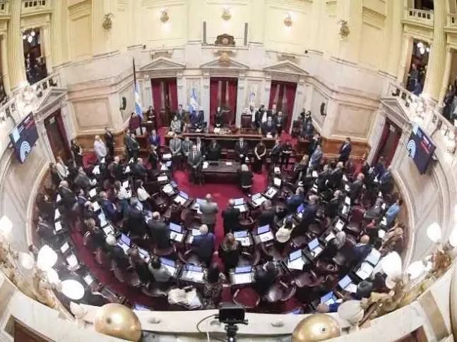 El Senado rindió homenaje al papa Francisco
y aprobó una declaración consensuada