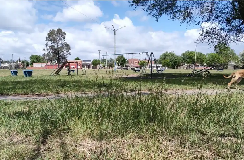 #MARDELPLAZA: presentaron un informe con duras críticas al mantenimiento y cuidado de las plazas