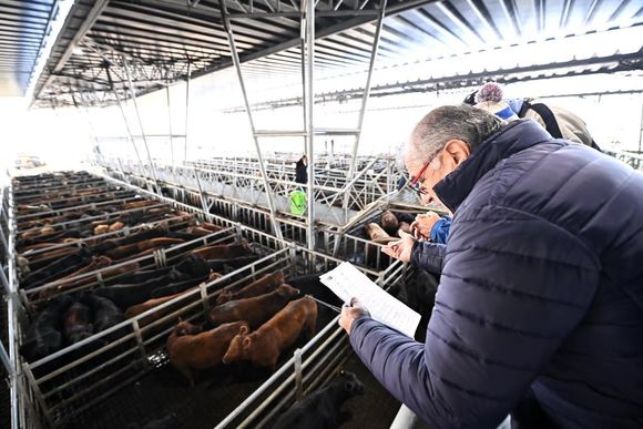 Se realizó la presentación formal del Mercado Agroganadero de Cañuelas