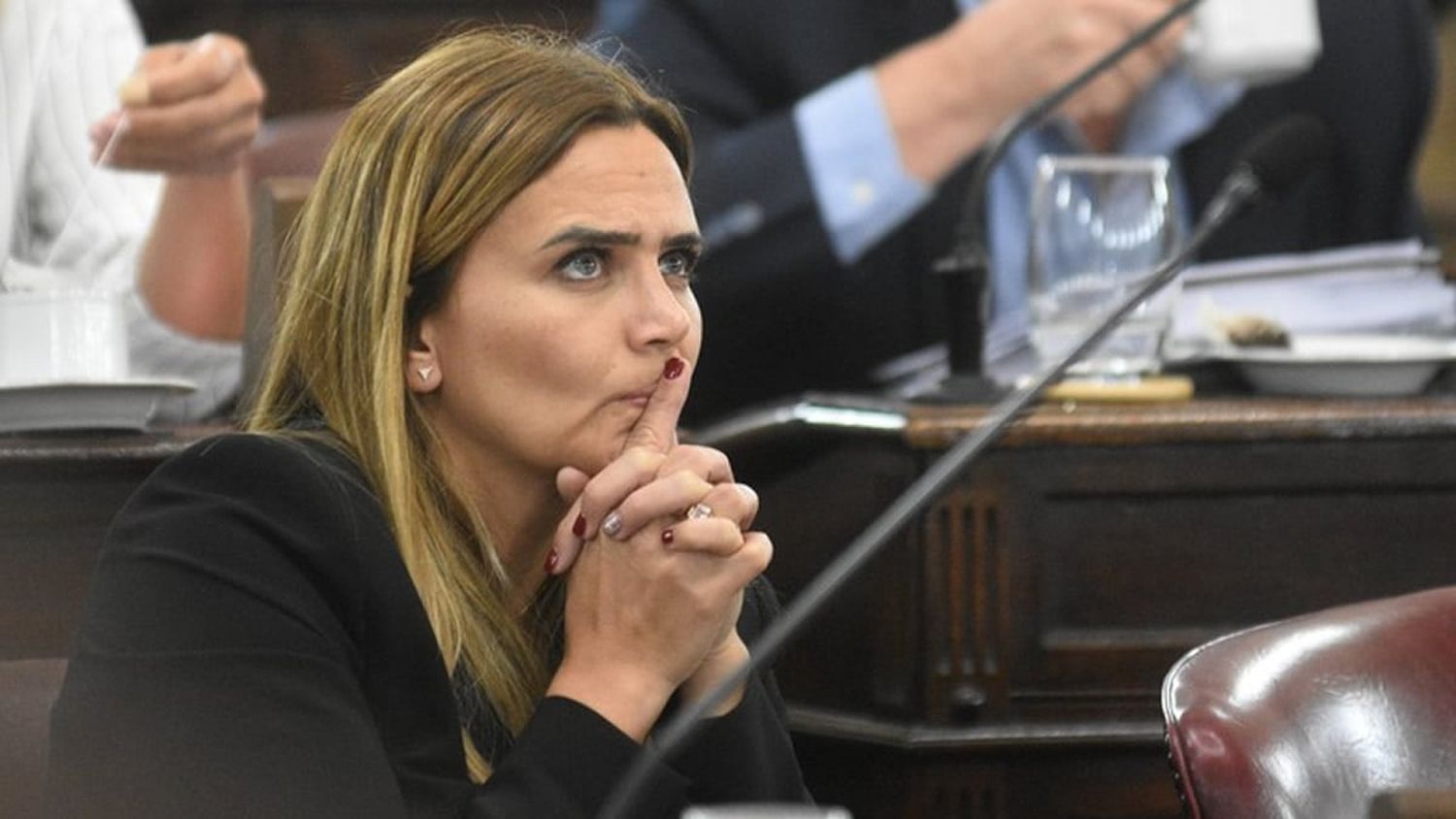 Le tiraron agua a Amalia Granata durante su presentación en la Cámara de Diputados de Santa Fe