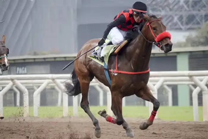 Jueves 14: Actividad Hipódromo de La Plata
