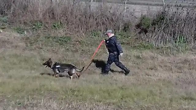 Policía Federal realizó rastrillajes con canes por la desaparición del empresario Benvenuto 