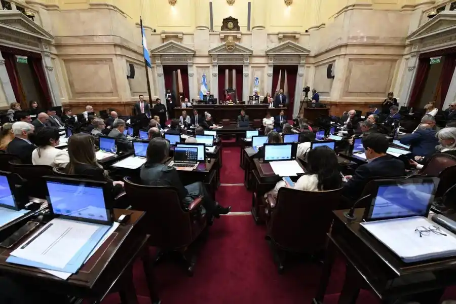 El Senado define el futuro de Kueider