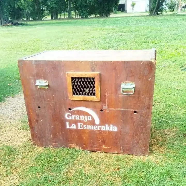 Rescataron un aguará guazú en zona rural de Soledad y fue derivado a Granja La Esmeralda