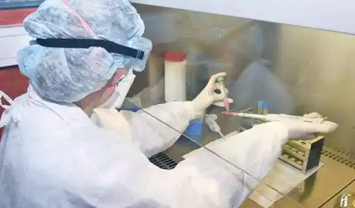 Coronavirus en Provincia de Buenos Aires: Joven que volvió de España es nuevo caso sospechoso en Bahía Blanca