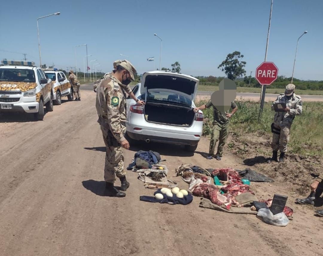 Siete cazadores se entrometieron en un campo sin autorización