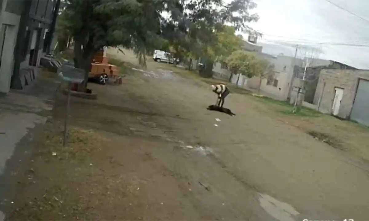Un hombre arrastró a su perro y lo golpeó en Bahía Blanca: Los vecinos lo denunciaron