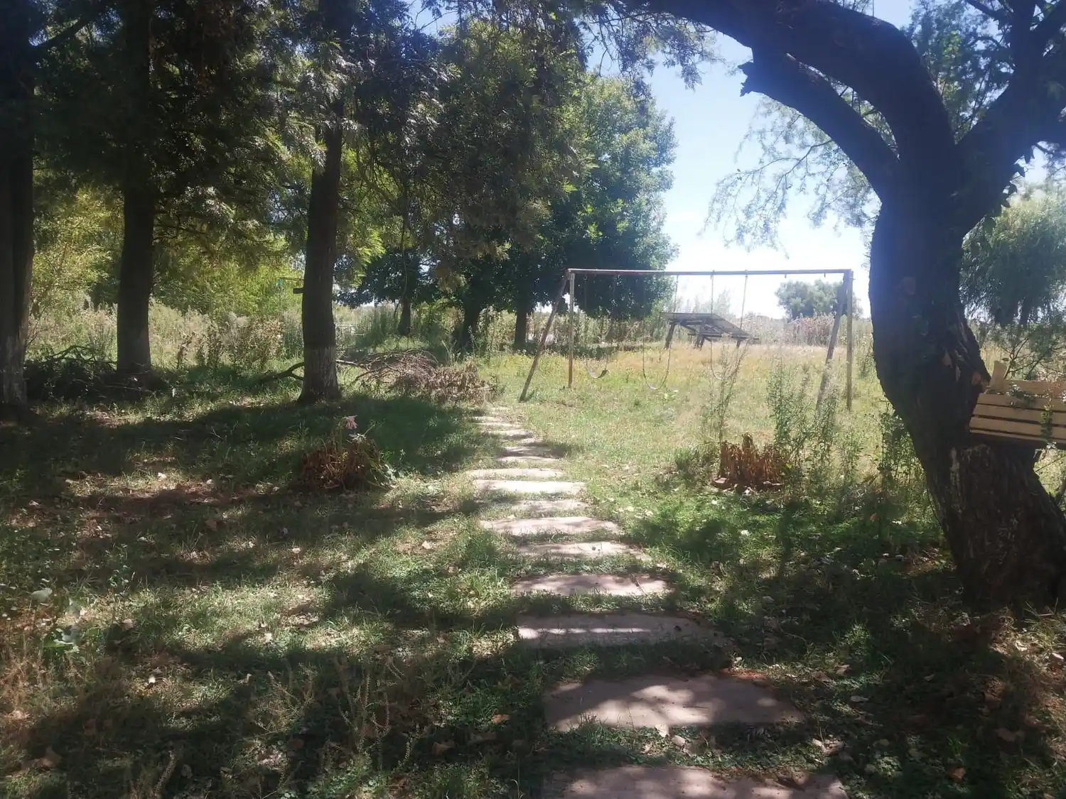 escuela de los laureles siguen sin reparar el muelle - yuyos pastizales largos