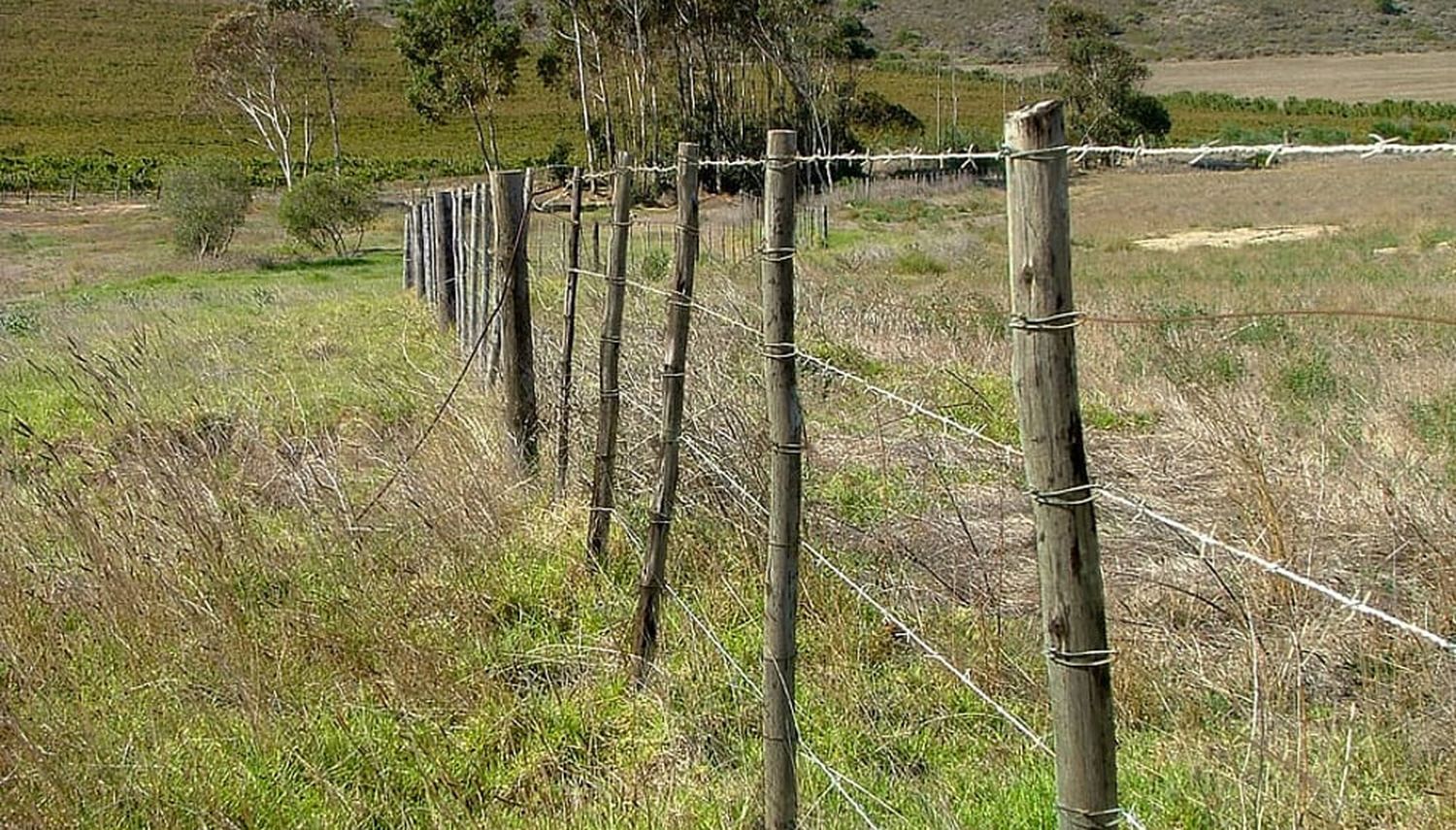 Inseguridad en el campo: “Nos preocupa el descontrol en el que estamos viviendo”