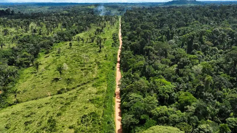 El monitoreo satelital detectó 209 kilómetros cuadrados de bosques destruidos en la parte brasileña de la Amazonia.