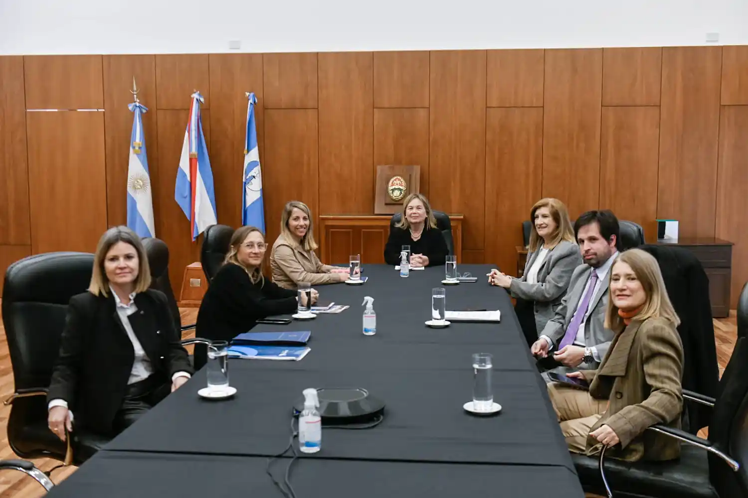 Se avanza en la reglamentación de la Ley de Régimen de Prevención, Asistencia y Protección de la Violencia