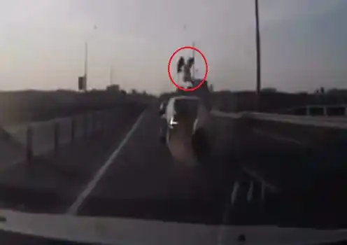 Un crack: Chocó en moto contra un auto y cayó parado sobre el techo 