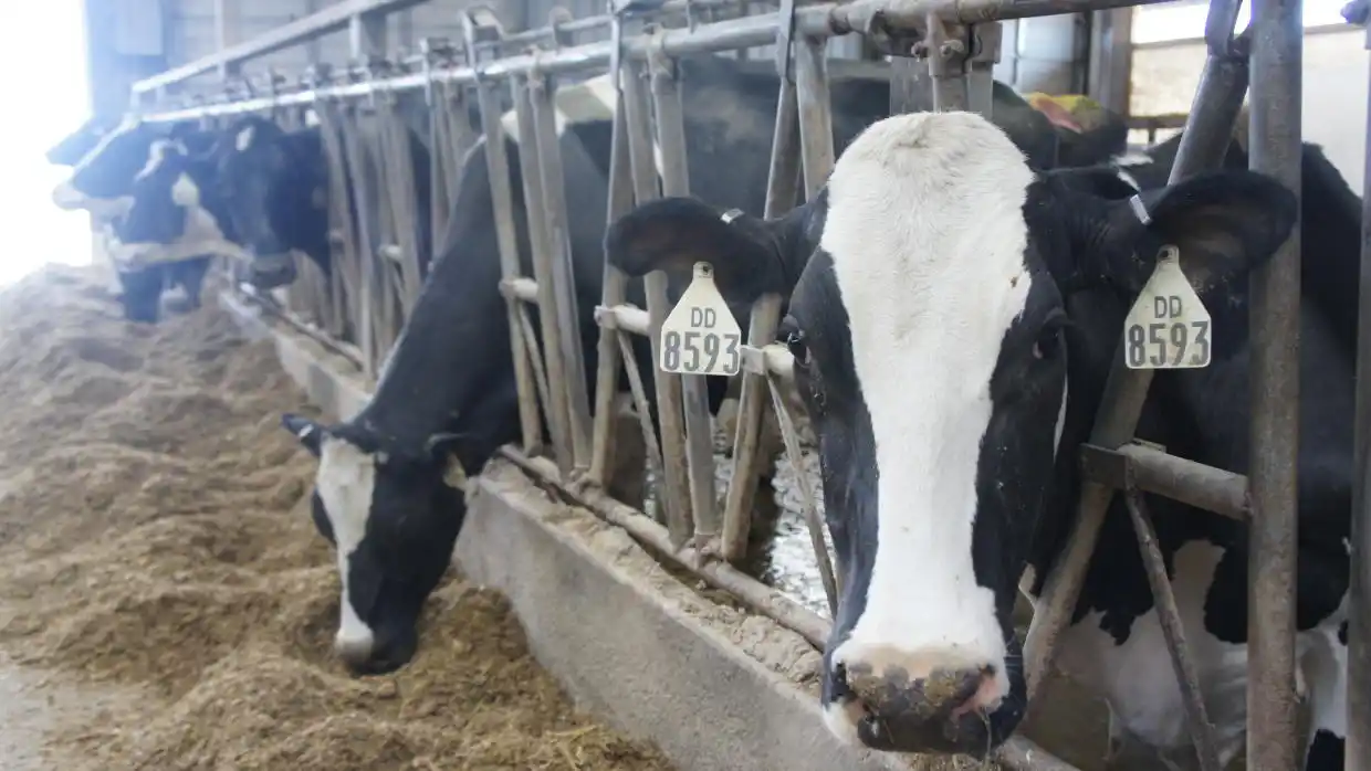 Oficializaron la creación del Programa Argentino de Calidad de Leche