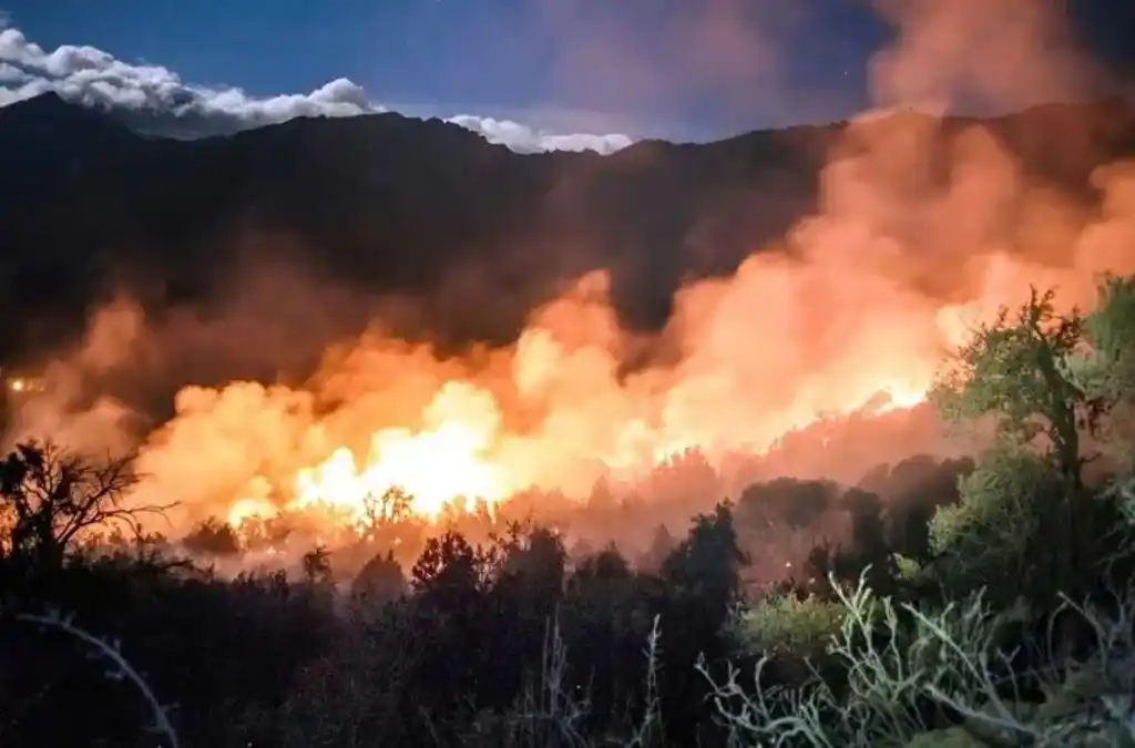 Autoridades confirman que los incendios fueron intencionales
