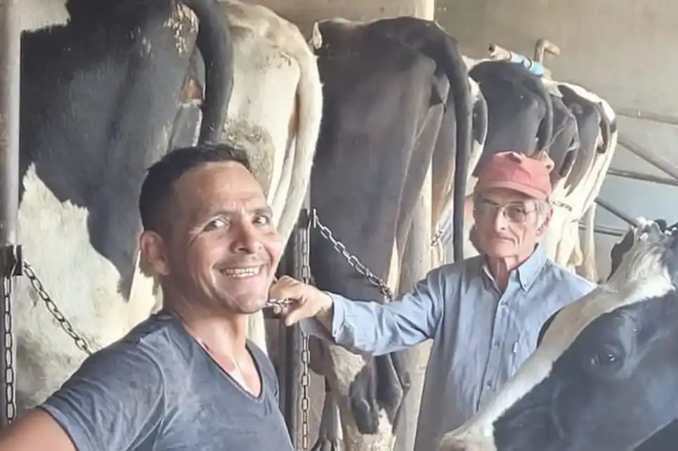 “Me largué a llorar”: la tristeza de un productor que cerró un tambo con 100 años de historia