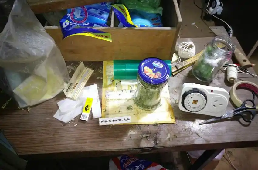 Cayó otro narco: intentó ingresar marihuana al país por el correo