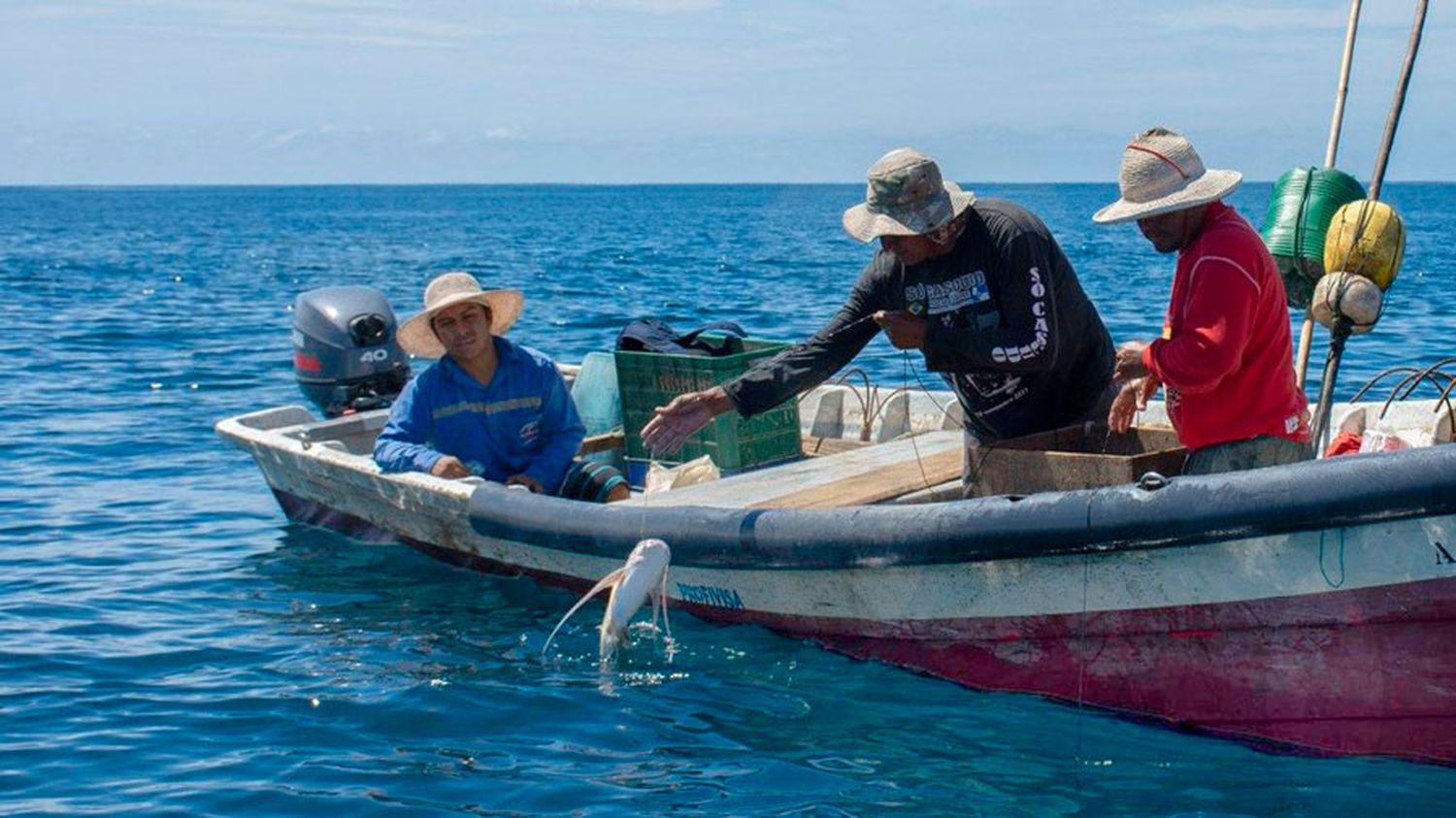 PARA IMPULSAR LA PESCA ARTESANAL: Brasil y Venezuela acuerdan proyecto conjunto