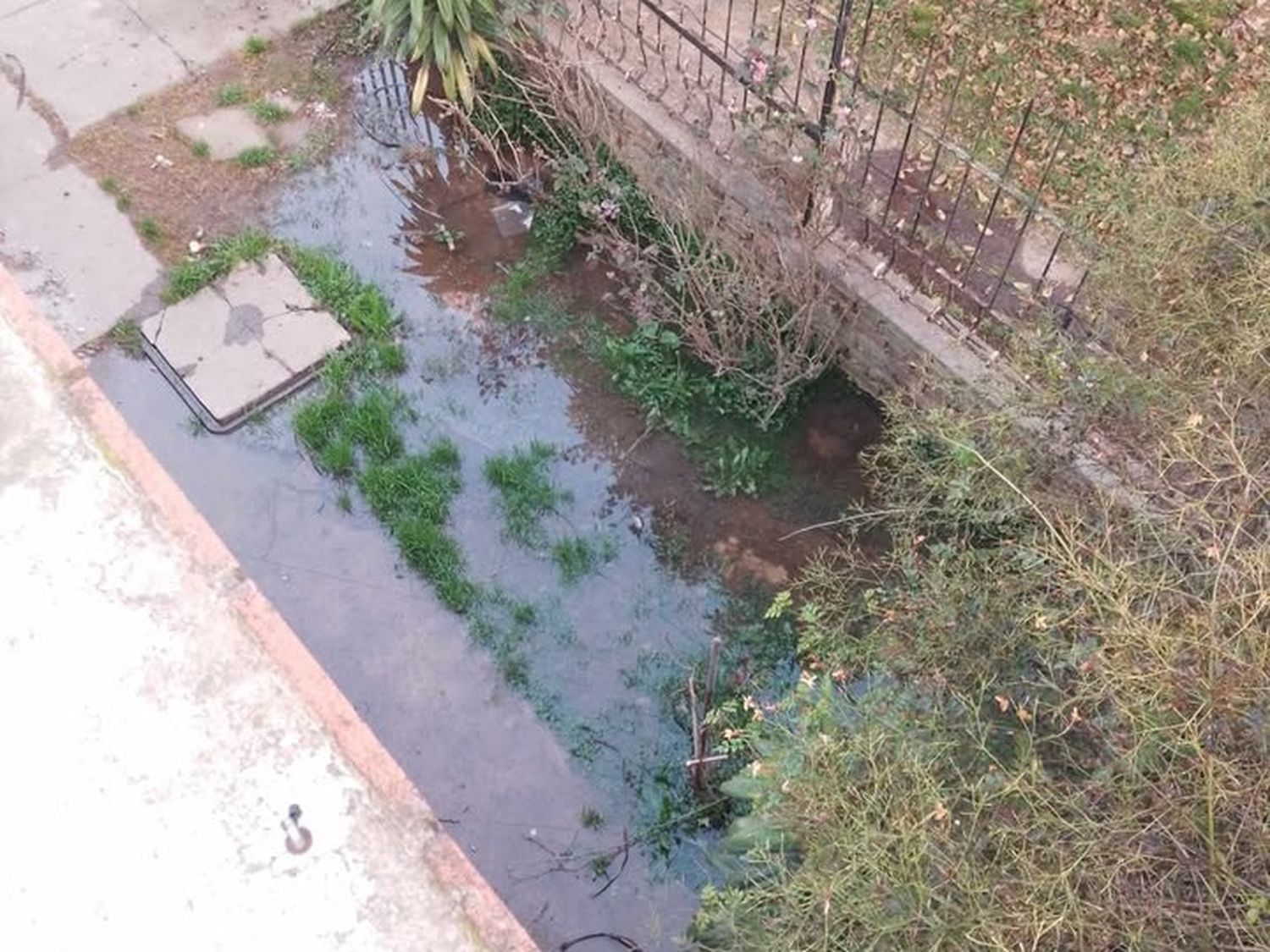 Cloacas tapadas en barrio Arco Iris