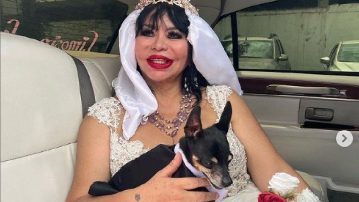 Tras decepción por matrimonios fallidos, exvedette se casó con su perro en un día especial (+Video)
