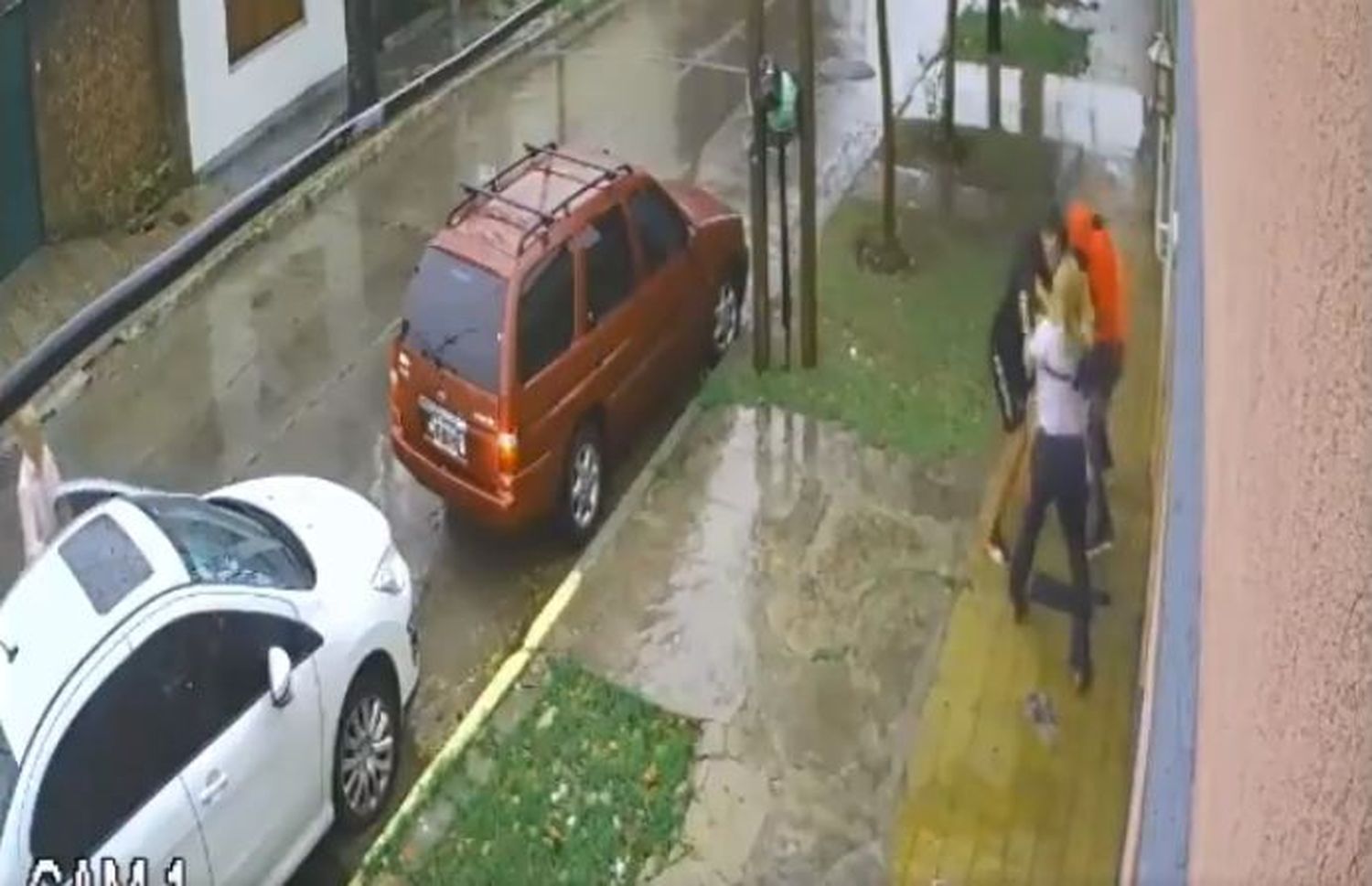 Mientras su marido se escondía, ella echó a unos ladrones a las piñas