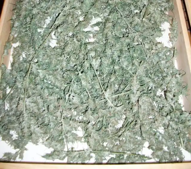 Operativo en calle Feliciano secuestran más de medio kilo de marihuana

