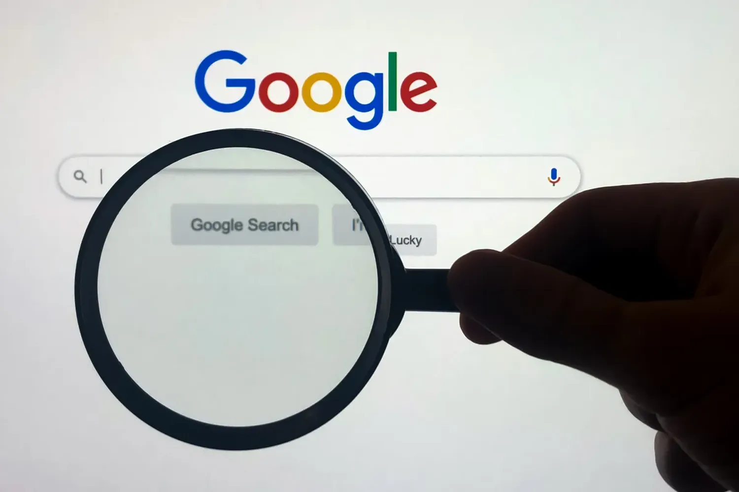 ¿Qué fue lo más buscado en Google por los argentinos en 2022?