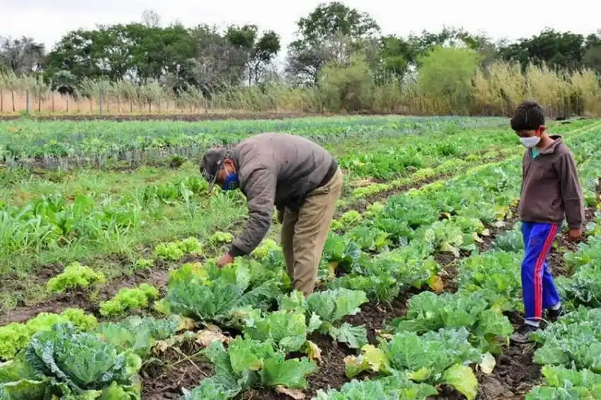 Expectativas de productores locales ante la llegada de lluvias