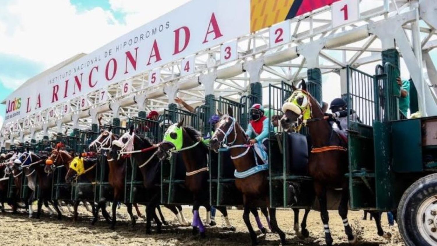 Venezuela será la sede de la Serie Hípica del Caribe en 2024
