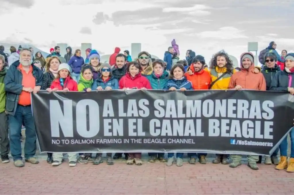 Argentina, el primer país del mundo que prohíbe la cría de salmones