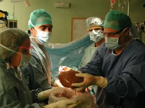 169 pacientes recibieron órganos a través de la red provincial de trasplantes